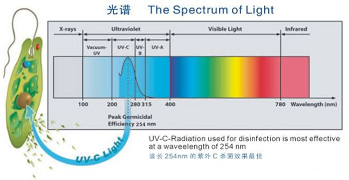 科普！紫外線殺菌燈對(duì)人體影響及正確使用方法